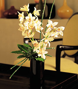  Zonguldak iekiler  cam yada mika vazo ierisinde dal orkide