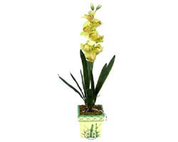 zel Yapay Orkide Sari  Zonguldak yurtii ve yurtd iek siparii 