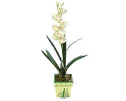 zel Yapay Orkide Beyaz   Zonguldak online ieki , iek siparii 