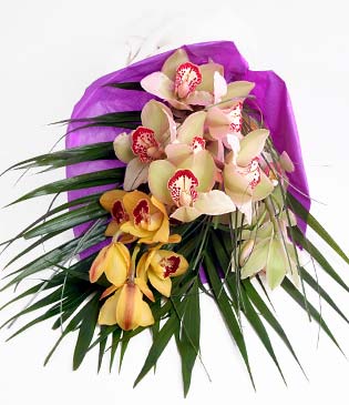  Zonguldak anneler gn iek yolla  1 adet dal orkide buket halinde sunulmakta