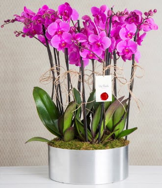 11 dall mor orkide metal vazoda  Zonguldak iek gnderme sitemiz gvenlidir 