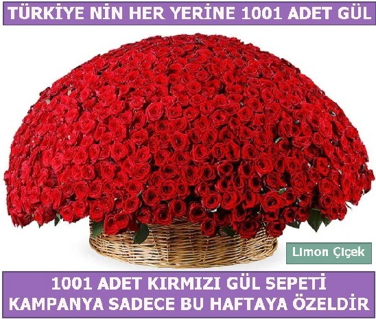 1001 Adet kırmızı gül Bu haftaya özel  Zonguldak çiçekçi mağazası 