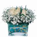 mika ve beyaz gül renkli taslar   Zonguldak çiçek satışı 