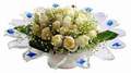 cam günes ve dolunay bembeyaz  Zonguldak çiçek , çiçekçi , çiçekçilik 
