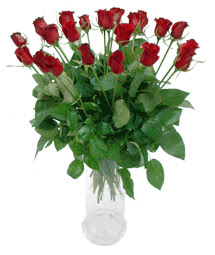  Zonguldak ucuz çiçek gönder  11 adet kimizi gülün ihtisami cam yada mika vazo modeli