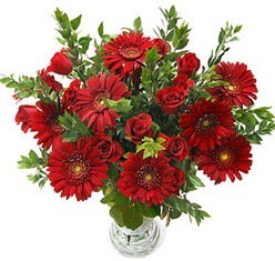 5 adet kirmizi gül 5 adet gerbera aranjmani  Zonguldak hediye çiçek yolla 