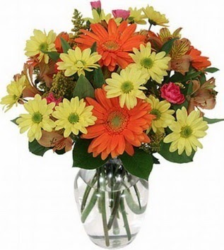  Zonguldak hediye sevgilime hediye çiçek  vazo içerisinde karışık mevsim çiçekleri