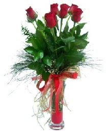 vazo içerisinde 5 kırmızı gül  Zonguldak güvenli kaliteli hızlı çiçek 