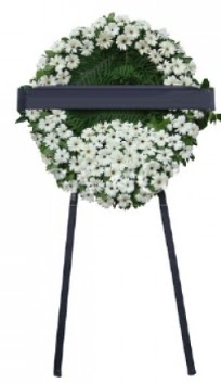 Cenaze çiçek modeli  Zonguldak 14 şubat sevgililer günü çiçek 