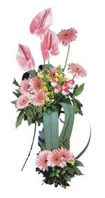  Zonguldak güvenli kaliteli hızlı çiçek  Pembe Antoryum Harikalar Rüyasi