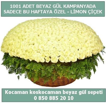 1001 adet beyaz gül sepeti özel kampanyada  Zonguldak çiçek gönderme sitemiz güvenlidir 